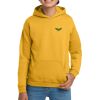Youth Heavy Blend Hooded Sweatshirt Thumbnail
