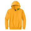 Youth Heavy Blend Hooded Sweatshirt Thumbnail