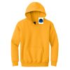 Youth Heavy Blend Hooded Sweatshirt Thumbnail