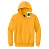 Youth Heavy Blend Hooded Sweatshirt Thumbnail