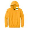 Youth Heavy Blend Hooded Sweatshirt Thumbnail