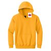 Youth Heavy Blend Hooded Sweatshirt Thumbnail