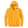 Youth Heavy Blend Hooded Sweatshirt Thumbnail