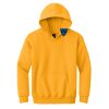 Youth Heavy Blend Hooded Sweatshirt Thumbnail