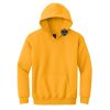 Youth Heavy Blend Hooded Sweatshirt Thumbnail