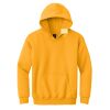 Youth Heavy Blend Hooded Sweatshirt Thumbnail