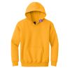 Youth Heavy Blend Hooded Sweatshirt Thumbnail