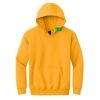 Youth Heavy Blend Hooded Sweatshirt Thumbnail