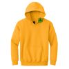 Youth Heavy Blend Hooded Sweatshirt Thumbnail