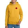 Youth Heavy Blend Hooded Sweatshirt Thumbnail