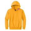Youth Heavy Blend Hooded Sweatshirt Thumbnail