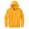 Youth Heavy Blend Hooded Sweatshirt Thumbnail
