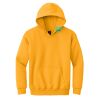 Youth Heavy Blend Hooded Sweatshirt Thumbnail