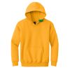 Youth Heavy Blend Hooded Sweatshirt Thumbnail